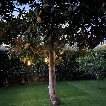 Casa de Férias Came Garden *